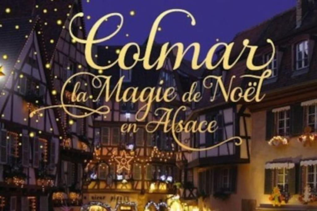 Aux Portes De La Petite Venise Colmar Eksteriør billede